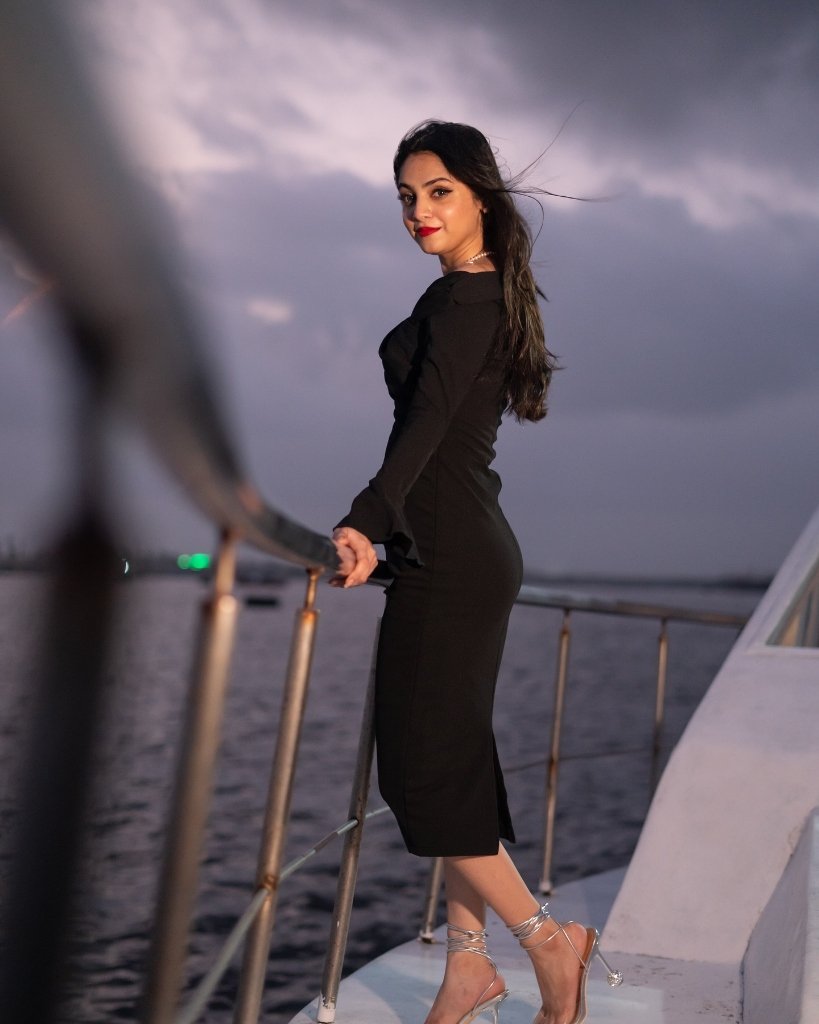 Golden Hour Dusk Horizon Stills